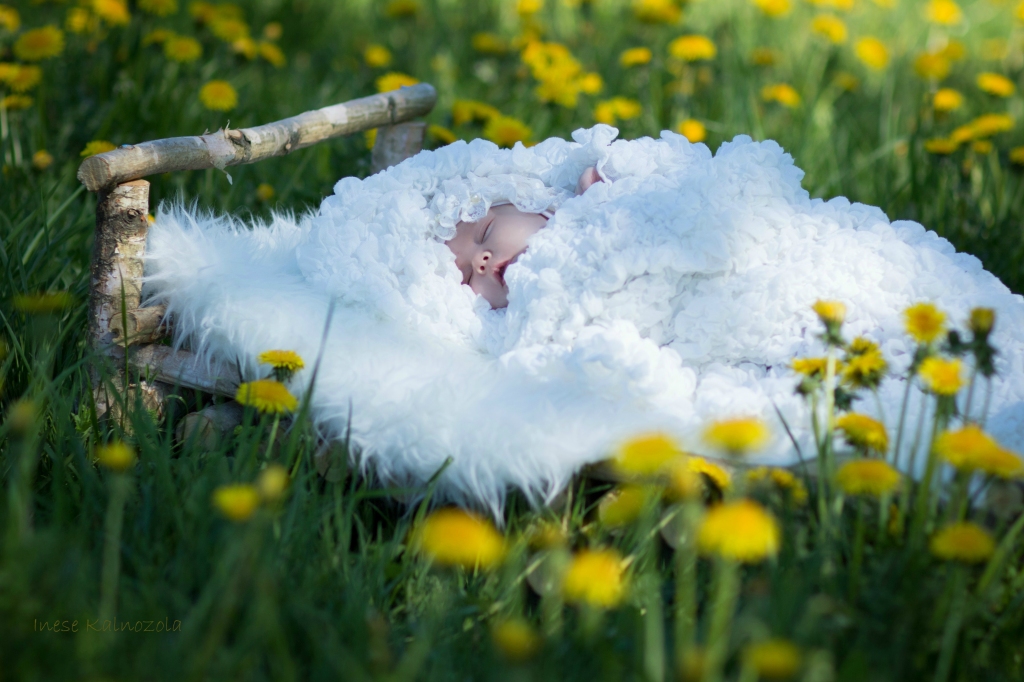 PUIŠU VAIRĀK. Ik gadu Latvijā zēnu piedzimst mazliet vairāk nekā meiteņu. Lieldienu noskaņās iejūtas viens no stiprā dzimuma pārstāvjiem — Fricis Bērziņš.
Autors: Inese Kalnozola