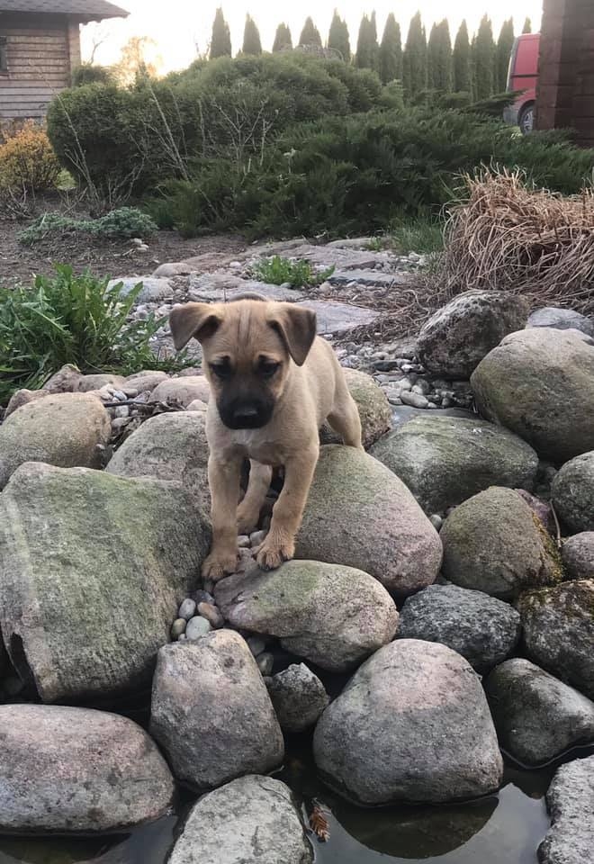 Autors: Ingūna Grandāne, Facebook