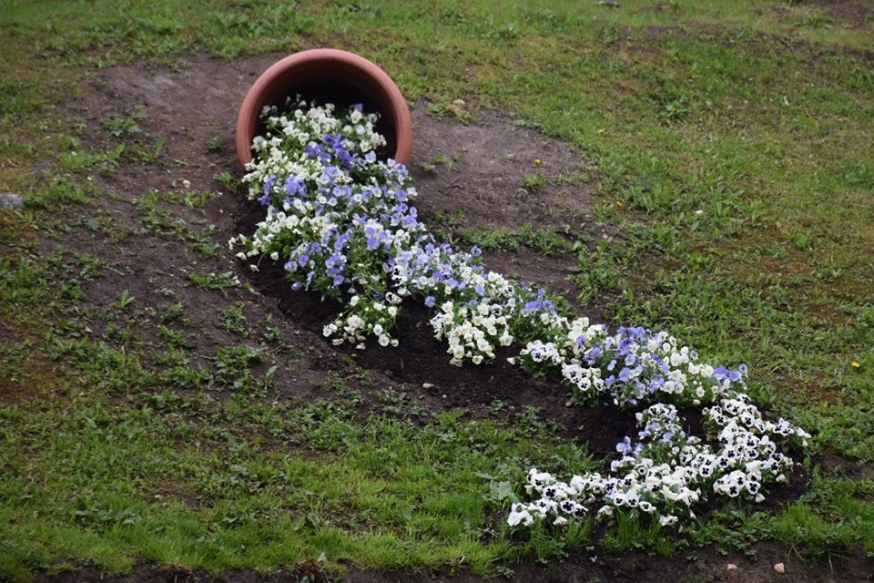 Autors: Agita Grīnvalde-Iruka