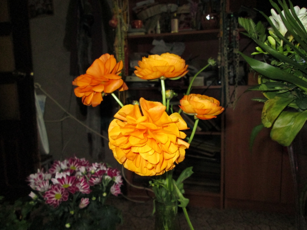 Autors: Ināra Sudare