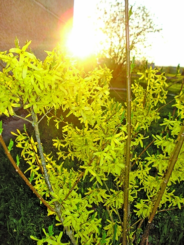 Autors: Silvija Karpoviča