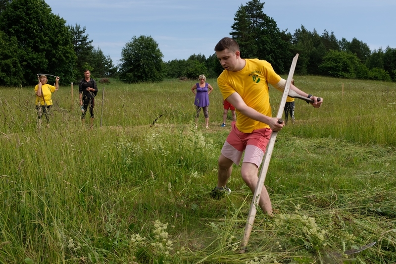 Pļaviņu novada pļaušanas sacensībās līdzās pieredzējušiem pļāvējiem stājas arī jauni puiši un meitas. Jānis Norvaišs savā grupā izcīnīja 2. vietu.
Autors: no Pļaviņu novada pašvaldības