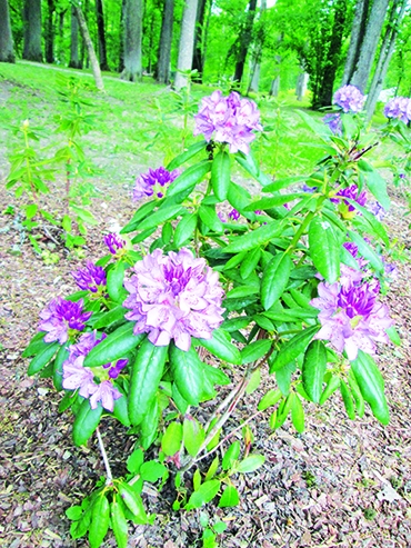 Autors: Ināra Sudare