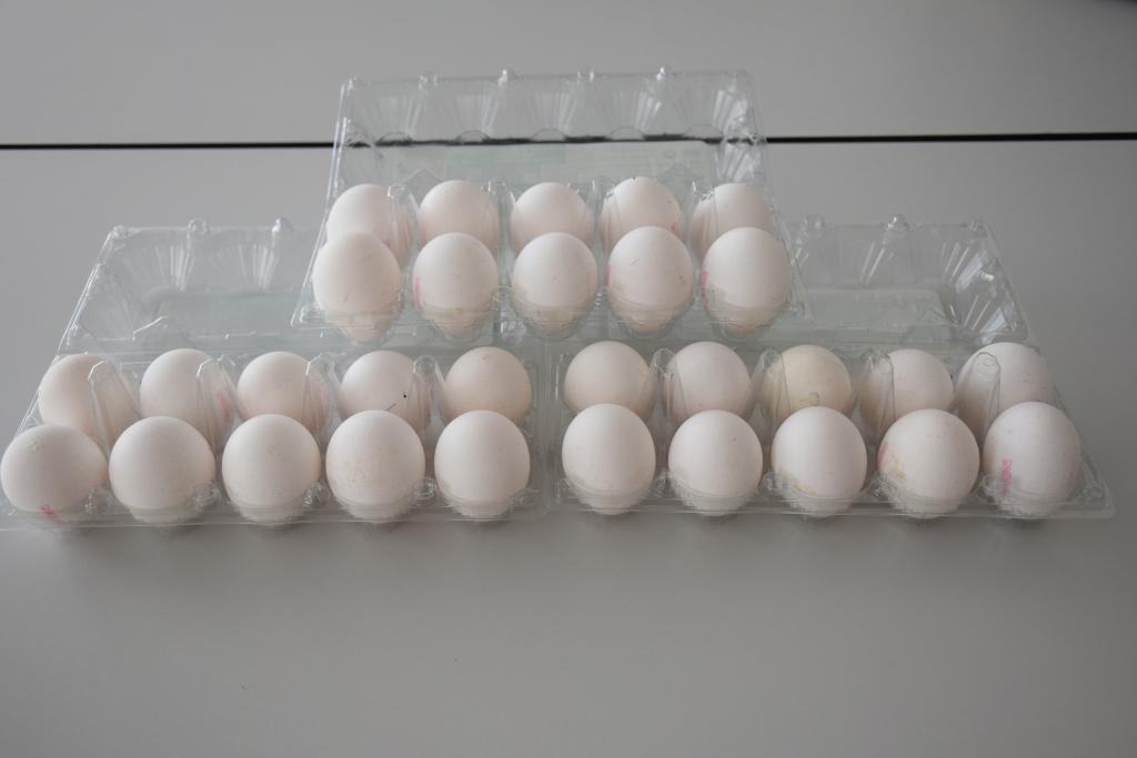 NETICAMA CENA. Kādu laiku pirms realizācijas termiņa beigām šādas 10 Ukrainas izcelsmes olas Aizkrauklē varēja nopirkt pat par 29 centiem. Tagad jaunas partijas olām cena augusi un tuvojas vienam eiro.