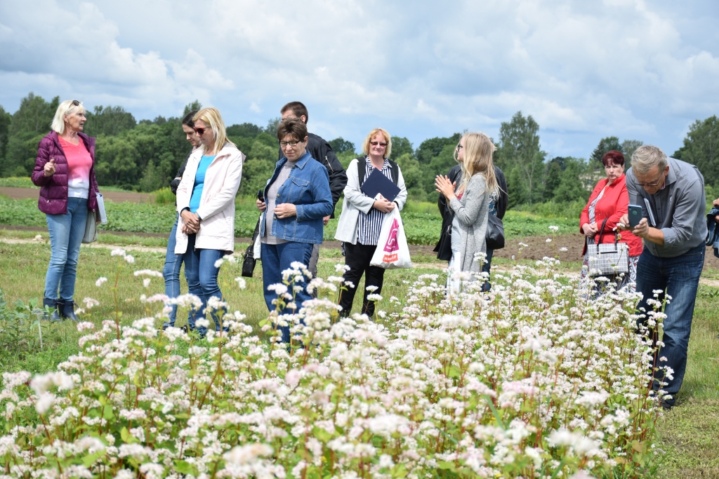 Kas garšo bitēm? Lauku dienā interesantus faktus varēja uzzināt arī par nektāraugiem.