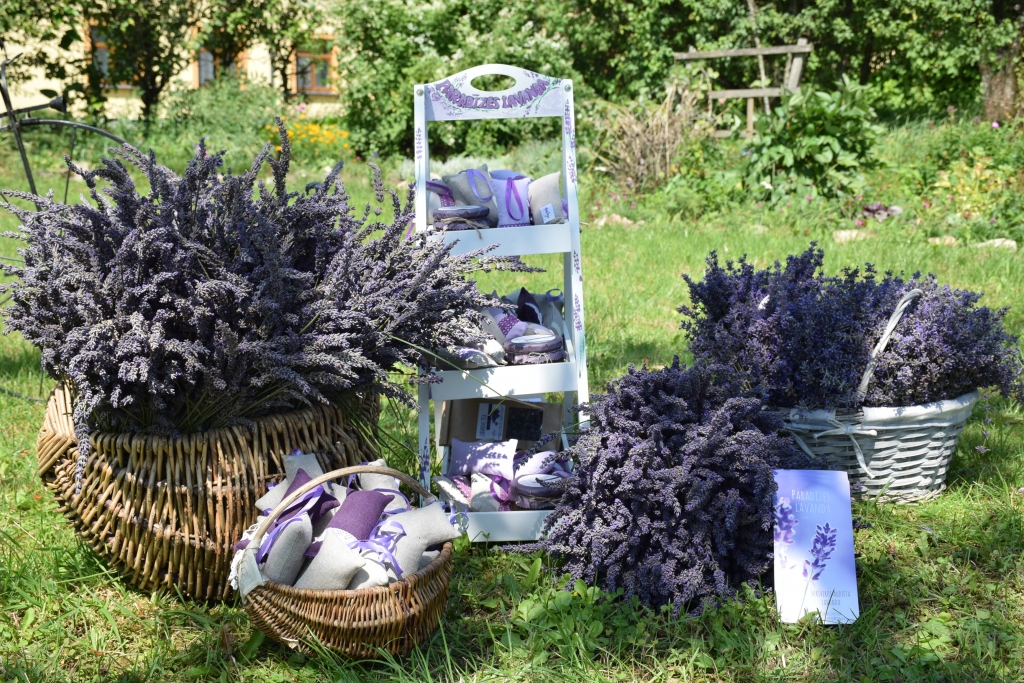 “PARADĪZES LAVANDĀ” top gan tradicionāli, gan diezgan neparasti izstrādājumi no lavandām.