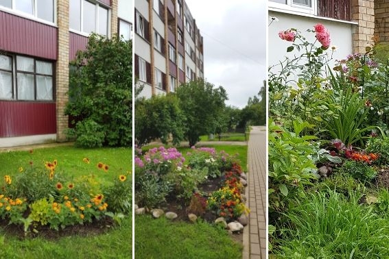 Skaistas dobes. Garāmgājēju un Sprīdīša ielas 2. mājas iedzīvotāju priekam.