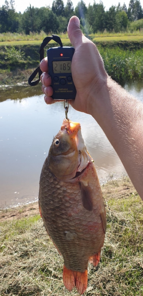 Karūsa uz sliekas Artūram pieķērās Rubeņa dīķī.