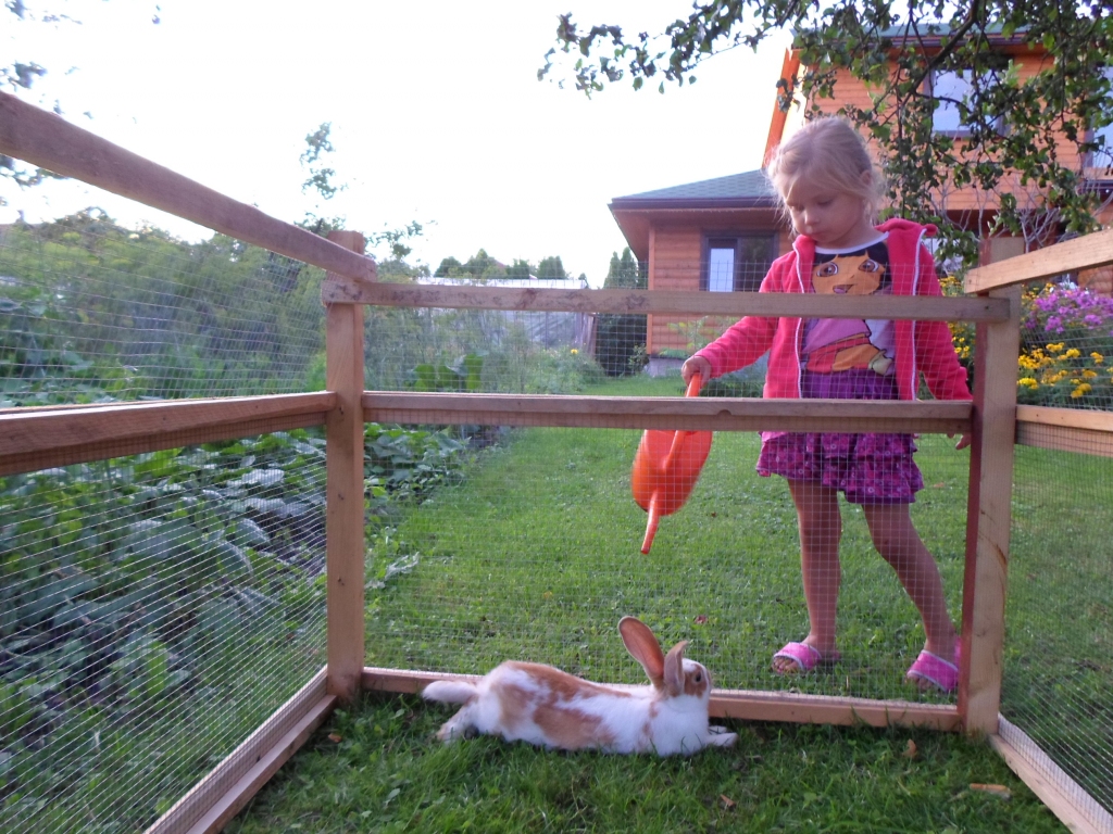 Autors: Ināra Sudare