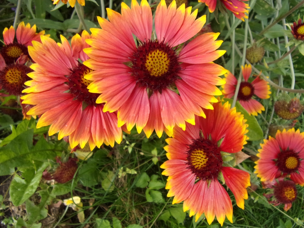 Autors: Inārs Dreijers