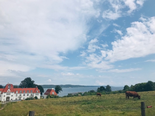 Kā izskatās Dānijā? Kā labi sakoptā Latvijā!
Autors: autores