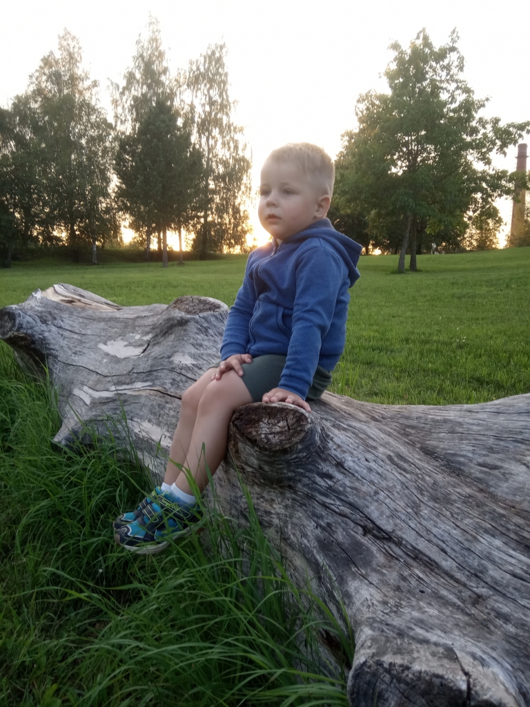 Vasaras vakarā.
Autors: Nensija Silova