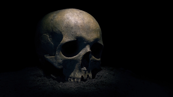 attēlam ir ilustratīva nozīme
Autors: videohive.net