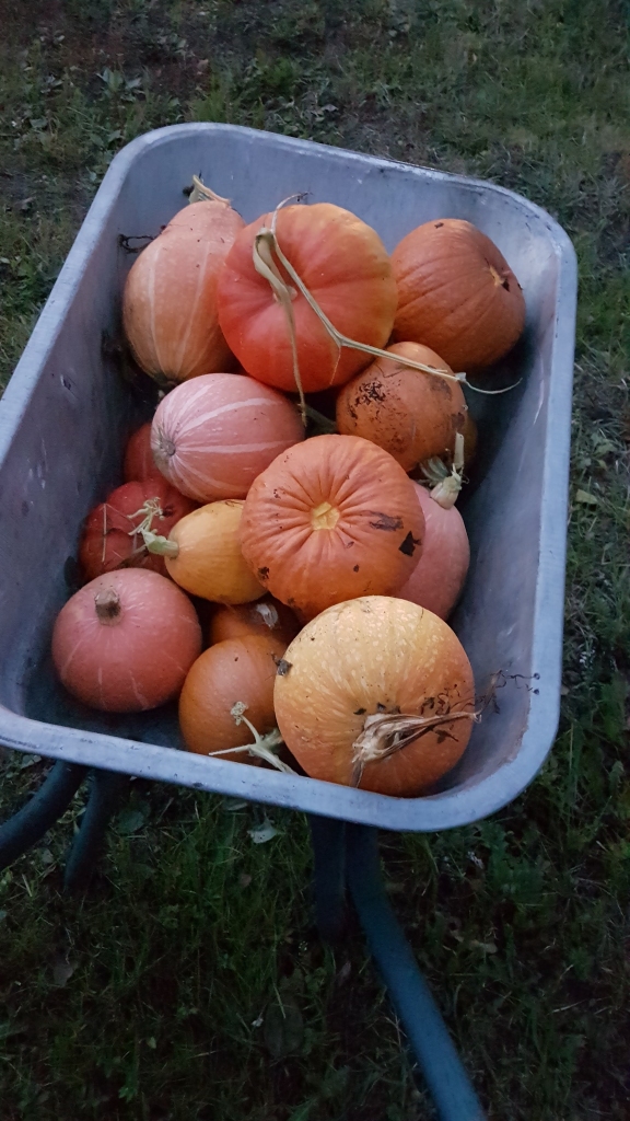 Autors: Imants Kaziļuns