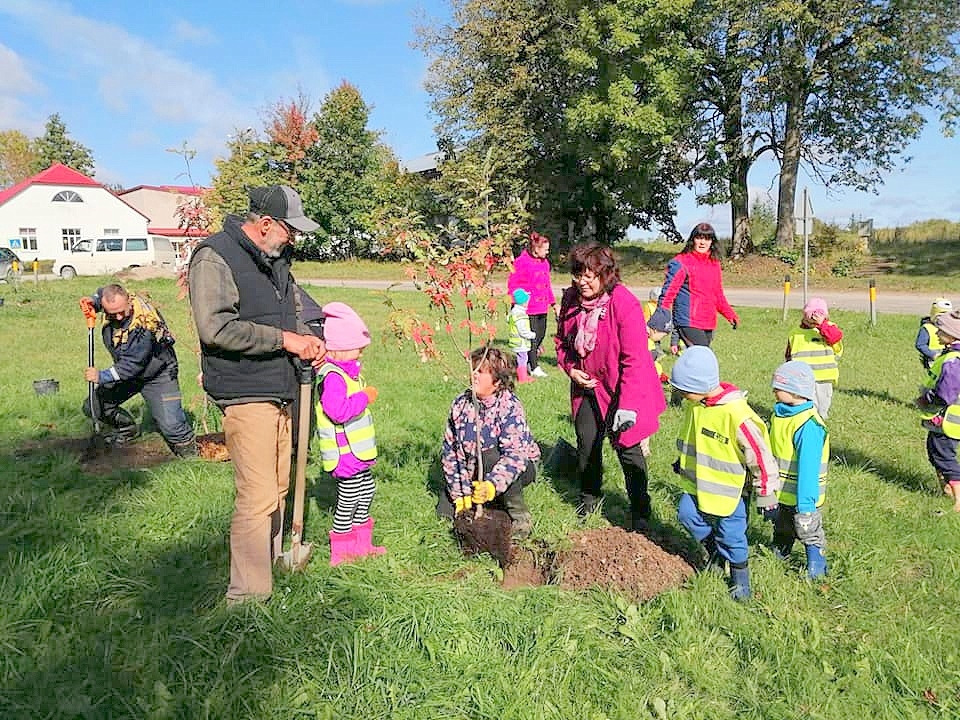 Augs pīlādži. Lieli un mazi irsieši talkas laikā iestādīja desmitiem koku.
Autors: no Iršu pagasta