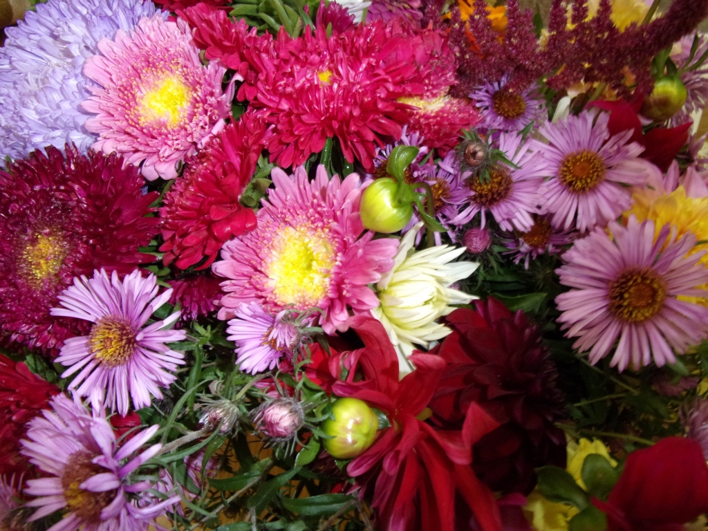 Autors: Inārs Dreijeris