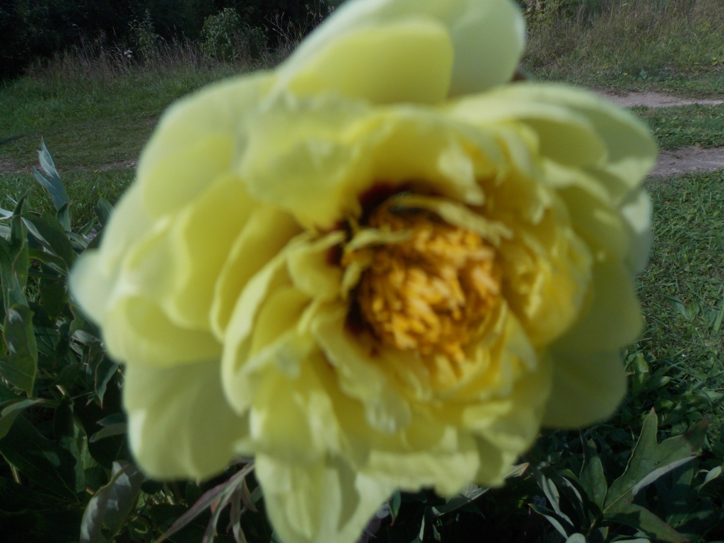 Autors: Skaidrīte Klauzele