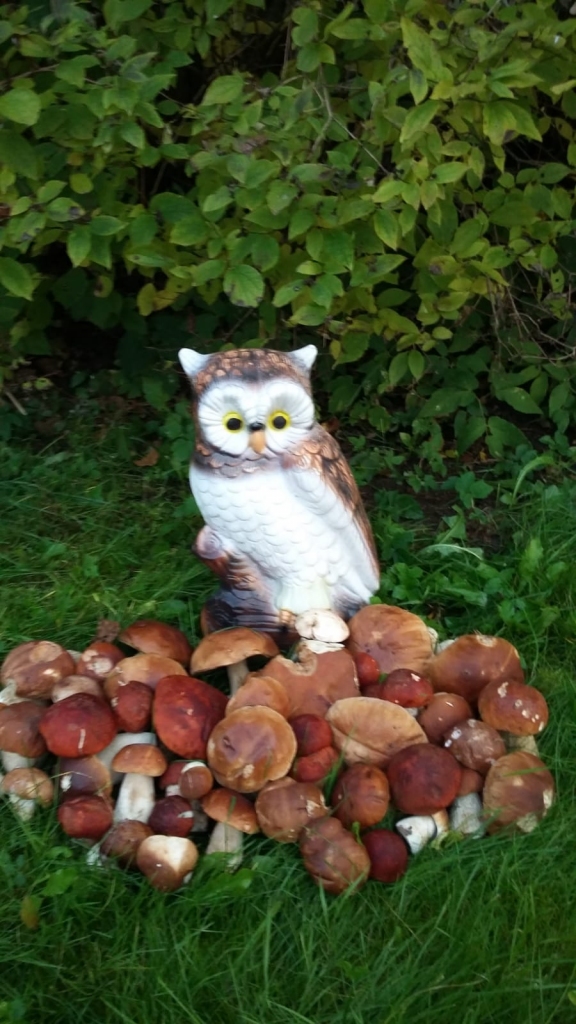 Autors: Marija Andžāne