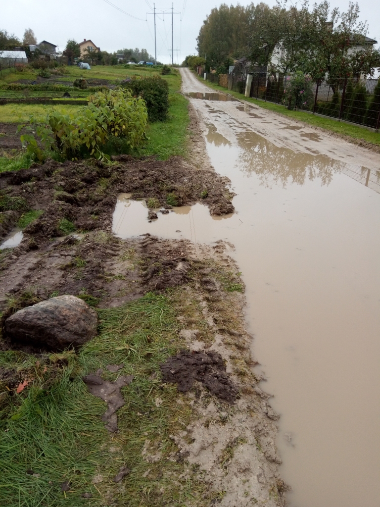 Vasarnīcu rajona Ozolu ielas apkaimes iemītnieki mums atsūtīja fotogrāfijas, kāda izskatās iela pēc greiderēšanas un lietus. Braucējiem te jārēķinās ar pamatīgām peļķēm un dubļiem. Pārsūtījām šīs fotogrāfijas Aizkraukles novada domes priekšsēdētājam Leonam Līdumam, viņa vietniekam Eināram Zēbergam un izpilddirektoram Kasparam Sniedzītim, no kura saņēmām atbildi, ka tiks meklēts problēmas risinājums.
Autors: V. Mihailova