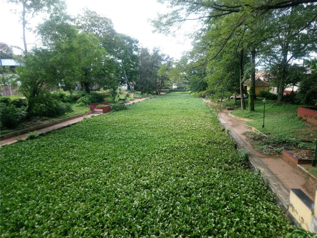 ZĀLĒM AIZAUDZIS KANĀLS Alapužā.