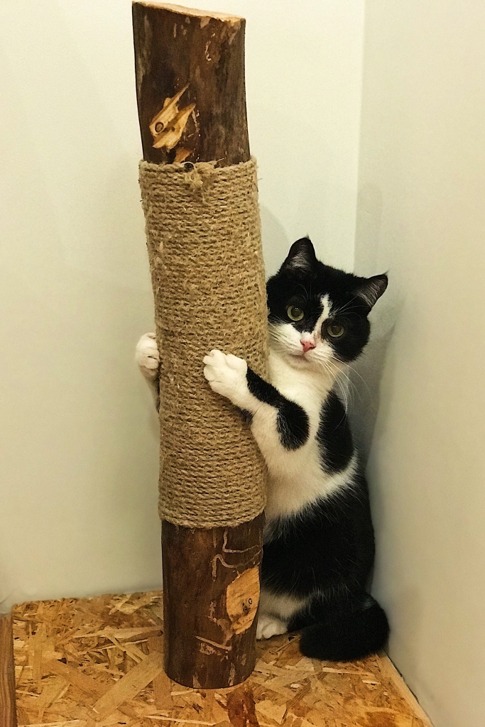 Minne skaistumkopšanas salonā.
Autors: Arta Ādamsone