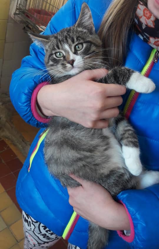 Aivas Samoilovas fotogrāfija ieguva pārsteiguma balvu.
Autors: no “Felidas”