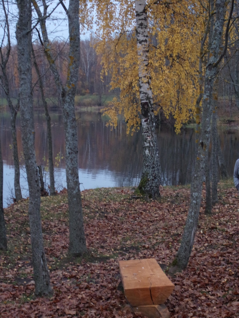 Autors: Inārs Dreijeris