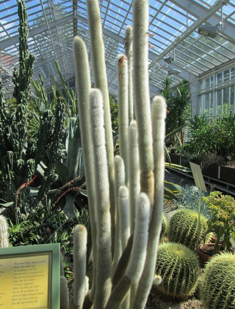 Autors: Ināra Sudare