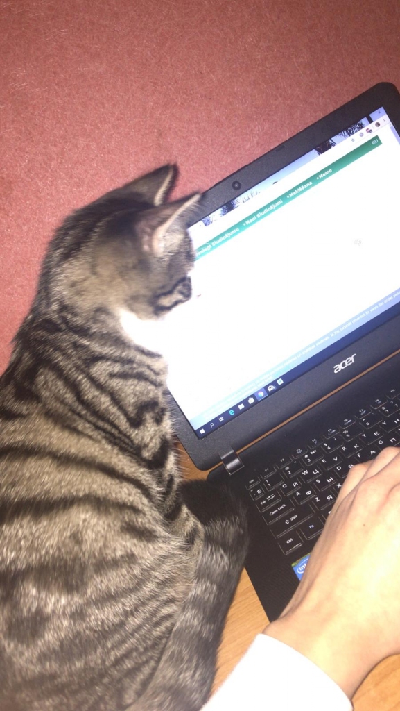 Kur tā pele pazudusi?
Autors: Dāvids Kuģins