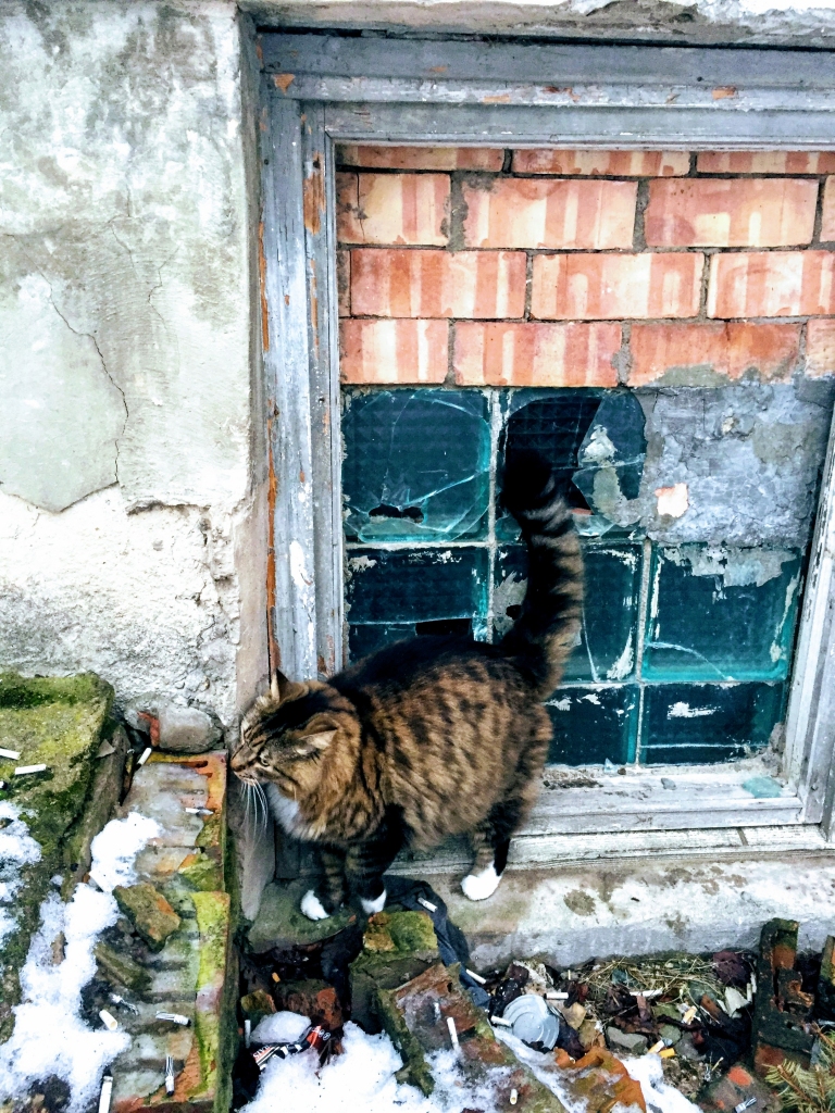 Kontrole. Kad beidzot tiks savākta šī cūcība?
Autors: Laura Kundziņa