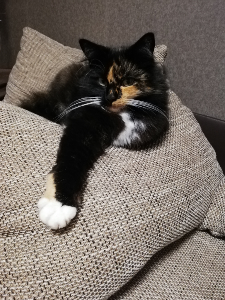 Svarīga doma. Interesanti, kad būs pusdienas?
Autors: Linda Glāzniece