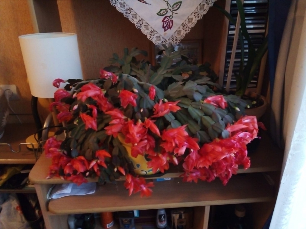 Autors: Ināra Sudare