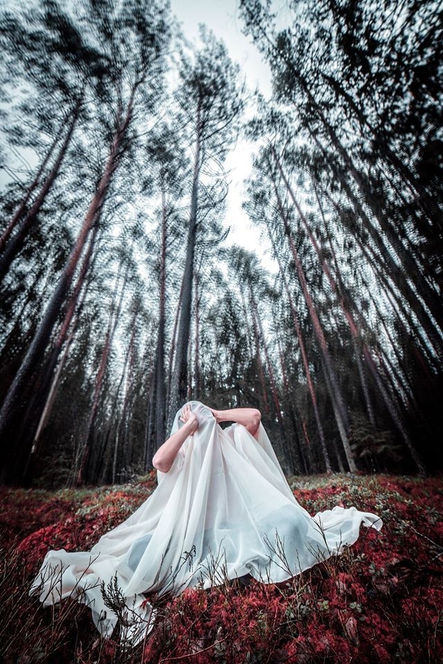 Konkursa finālista koknesieša Ingus Pugačova fotogrāfija “Izlauzties pie miera” guva konkursa žūrijas atbalstu. Labāko trīs fotokonkursa “Troksnis” laureātus noteiks skatītāju balsojums.
Autors: Ingus Pugačova foto