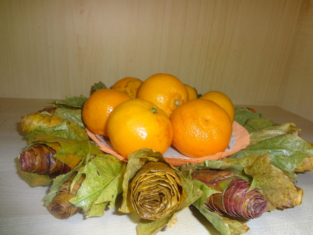 Autors: Ināra Sudare