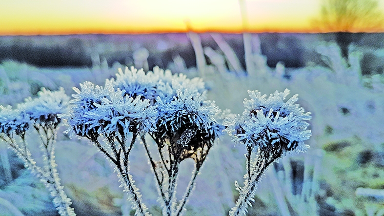 Autors: Imants Kaziļuns