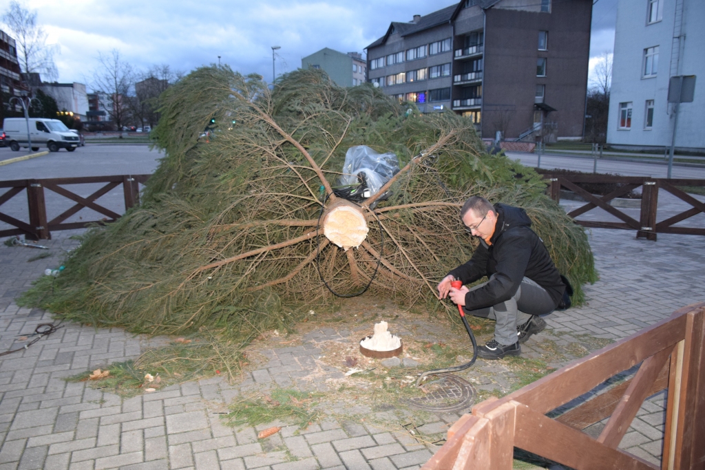 Kritusi svētku egle Aizkrauklē. Stiprā vēja dēļ egle pie pamatnes tika nolauzta. Egles stumbrs metāla atverē pirms tam bija ievietots metru lielā dziļumā, un koks tika nostiprināts ar vairākām metāla atsaitēm. Atpakaļ vietā to varēja novietot nākamajā dienā.
Autors: Guna Mikasenoka