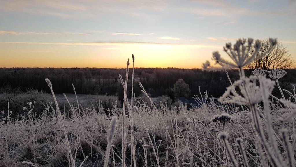 Autors: Imants Kaziļuns