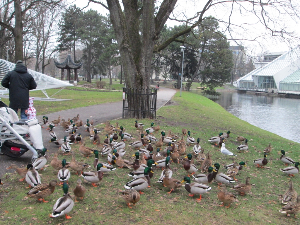 Autors: Ināra Sudare