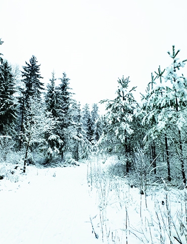 Autors: Silvija Karpoviča.