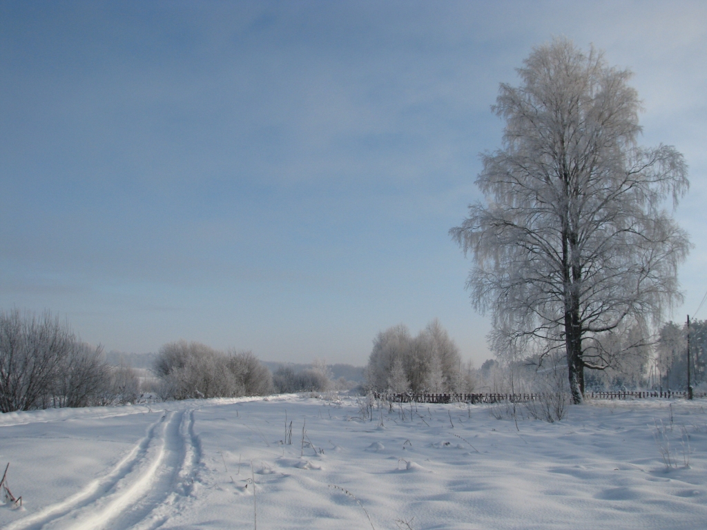 Autors: Solveiga Ivanova