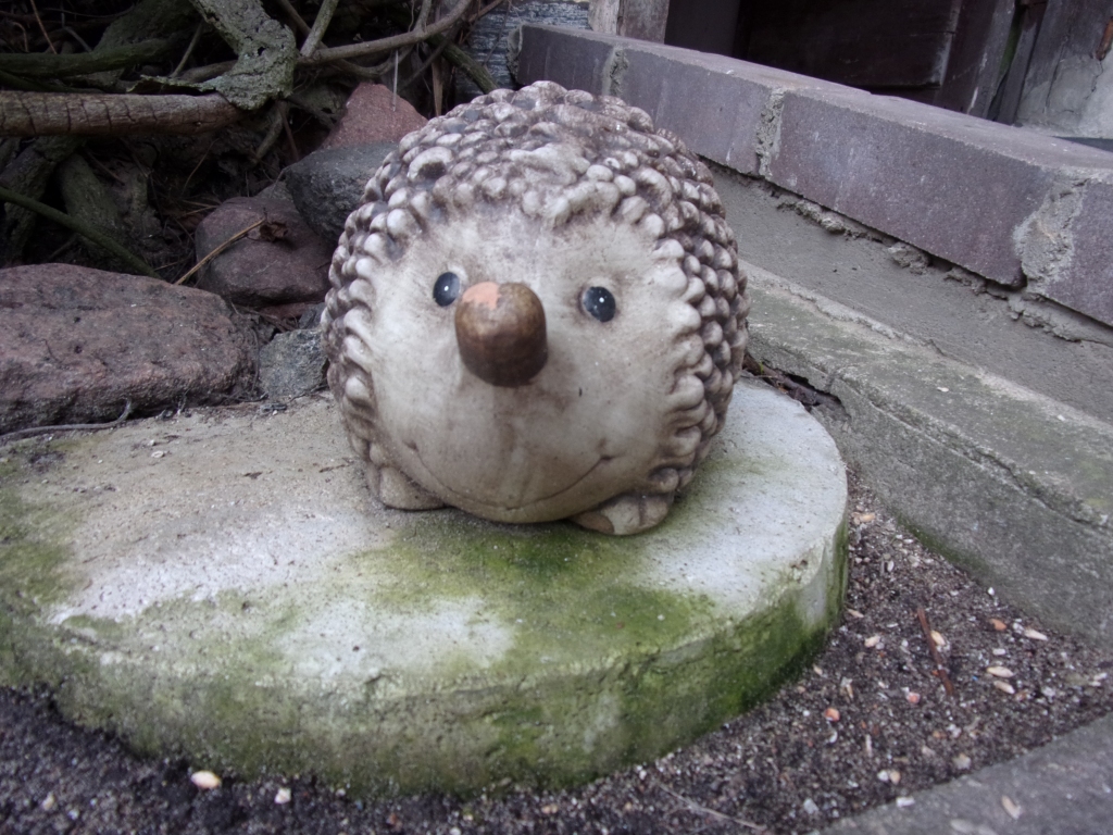 Autors: Inārs Dreijers