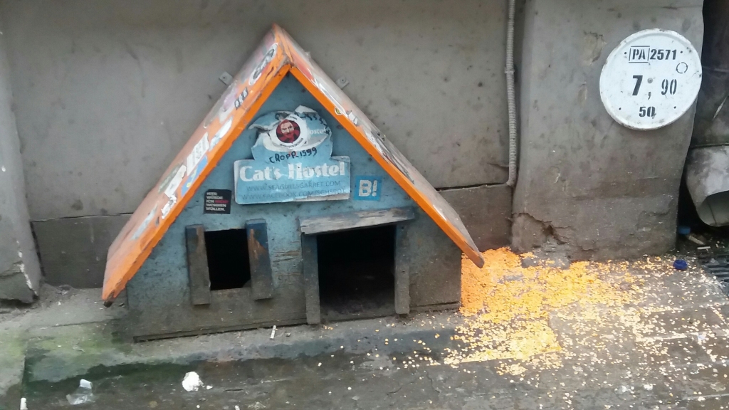 Autors: Sandra Pumpure