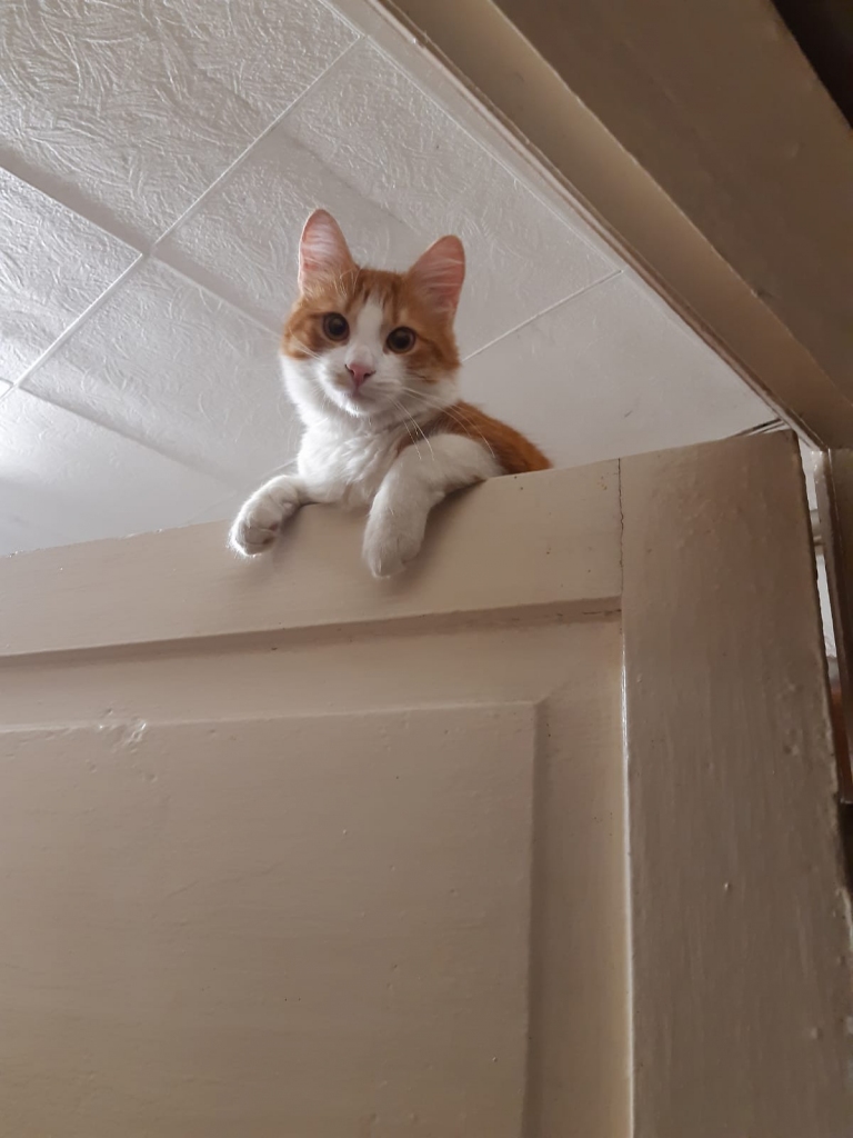 Mirkļi no manas ikdienas.
Autors: no Anitas albuma