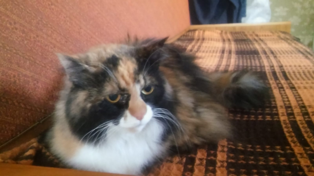 Man nepatīk fotografēties.
Autors: Ināra Sudare