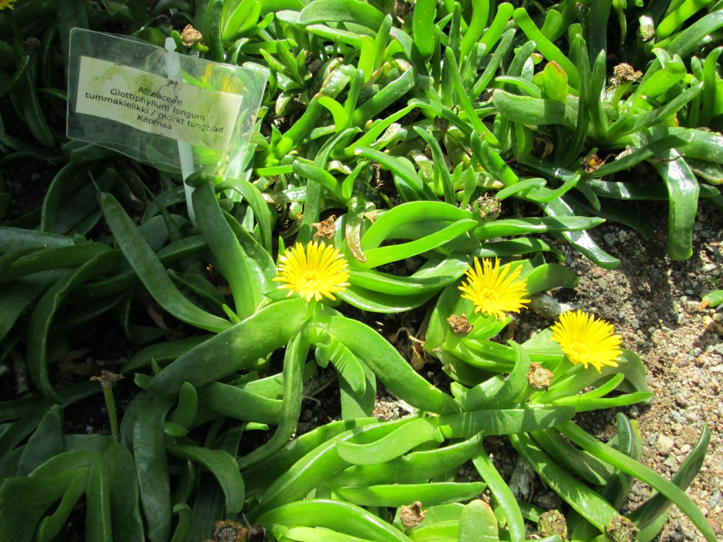 Autors: Ināra Sudare