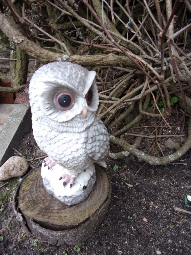 Autors: Inārs Dreijers