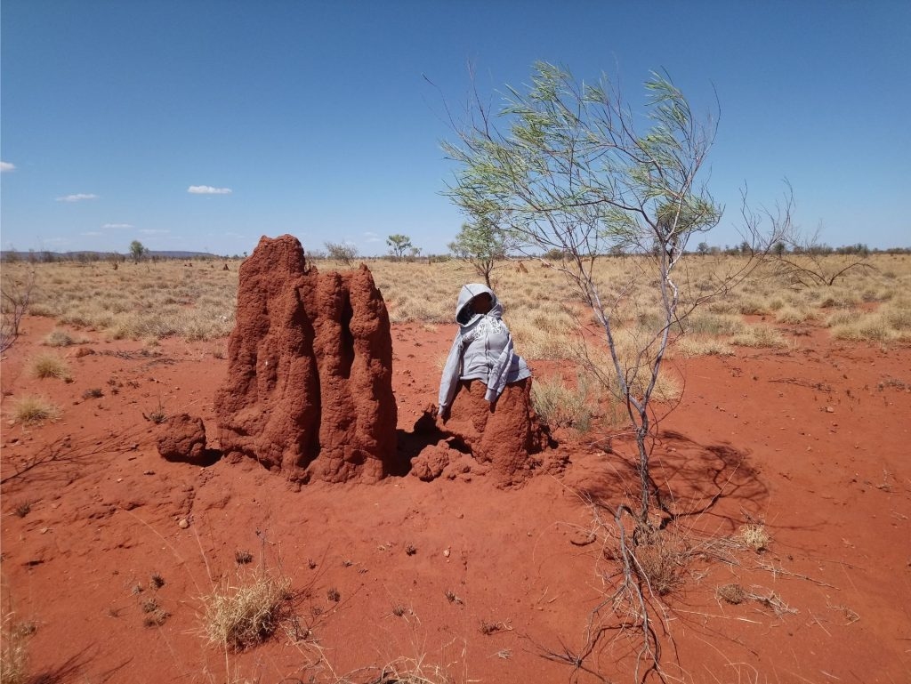 Ietērpjam termītu māju sievietei nevajadzīgā jakā. Tā austrāliešiem tāda dīvaina izklaide.
Autors: no ceļotāju albuma