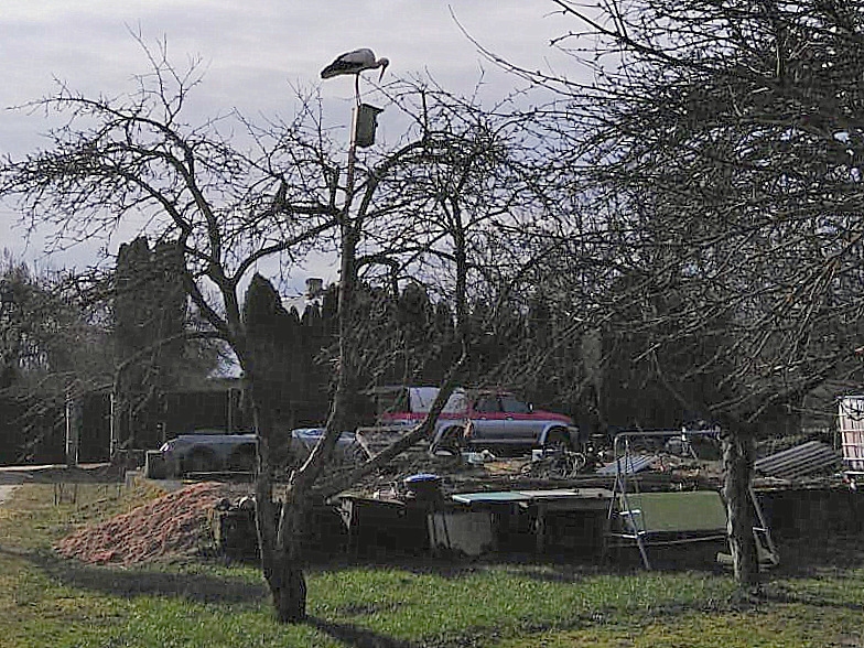 Autors: no Jura albuma