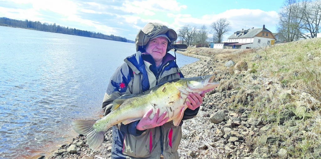 VEIKSMINIEKS Pēteris Fokins ar paša noķerto zandartu.