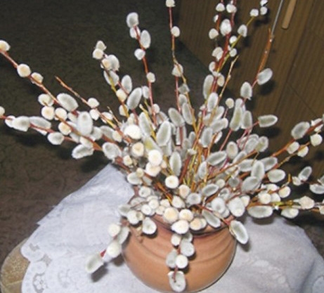 Autors: Ināra Sudare